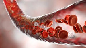 una arteria translucida en la que se ven los distintos tipos de componentes de la sangre para una Comparativa de Masajeadores para la Circulacion Sanguinea